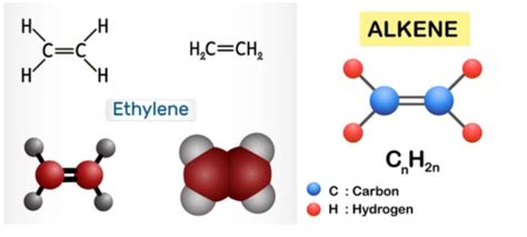 Olefins in Petroleum Refinery The Petro Solutions