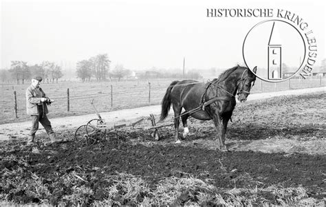 Paard En Ploeg Met Boer Lagerweij Historische Kring Leusden