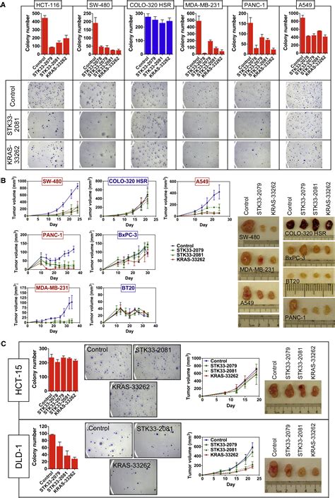 Synthetic Lethal Interaction Between Oncogenic Kras Dependency And