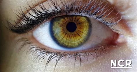 ¿cuáles Son Los Colores De Ojos Más Raros Del Mundo Ncr Noticias Noticias Costa Rica