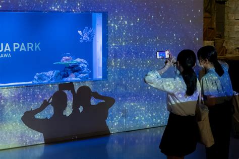 NAKED 花火アクアリウム夏にこそおすすめしたい駅チカ水族館マクセル アクアパーク品川をレポート onesuite