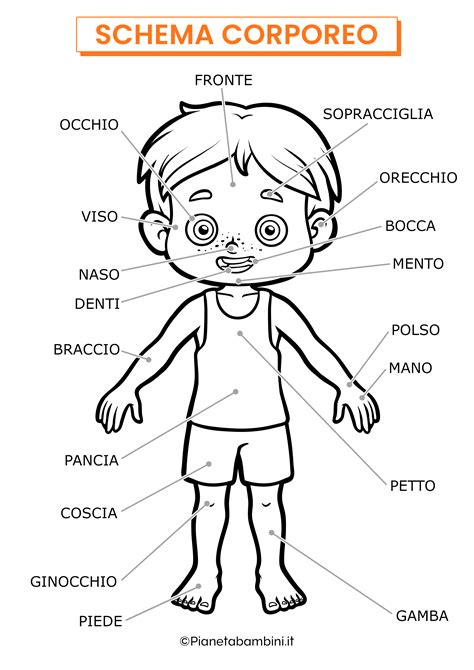 Schema Corporeo Da Stampare E Colorare Pianetabambini It