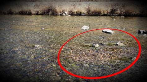 5 Warning Signs to Help you Avoid Spawning Fish - Xpert Fly Fisher