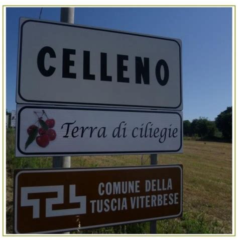 CELLENO Consorzio Ciliegia Della Tuscia