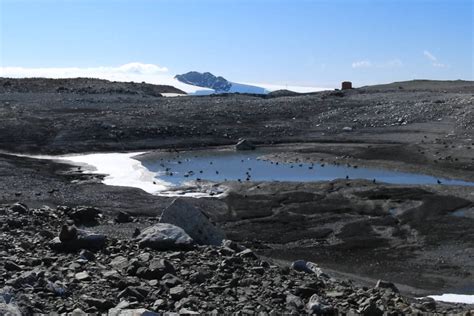 Cientistas Investigam Sumi O De Lago Na Ant Rtida