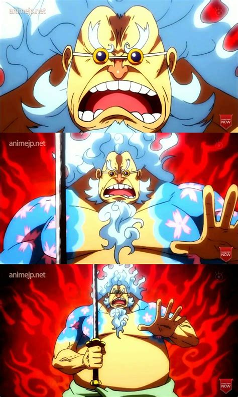One Piece Wiki Hyogoro at Sherry Leroy blog