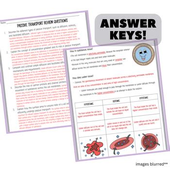 Passive Transport & Diffusion Complete Lesson by TheBusyBiologist