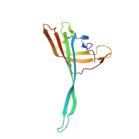 Rcsb Pdb Gtc Cryo Em Model Of The Marine Siphophage Vb Dshs R C