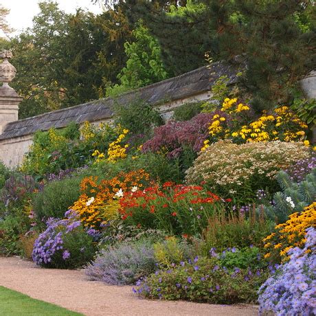 Vaste Planten Belleplant