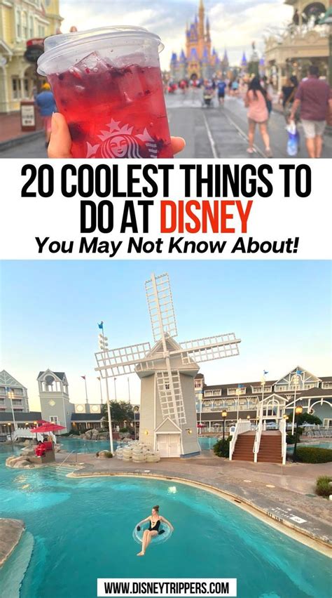 Coolest Things To Do In Disney World Artofit