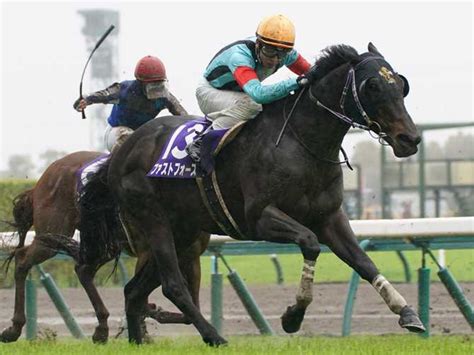 高松宮記念2024特集 過去10年の結果（動画）｜競馬予想のウマニティ