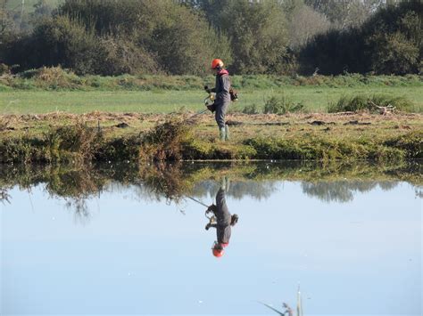 Fédération Départementale Des Chasseurs Calvados Fdccalvados Twitter