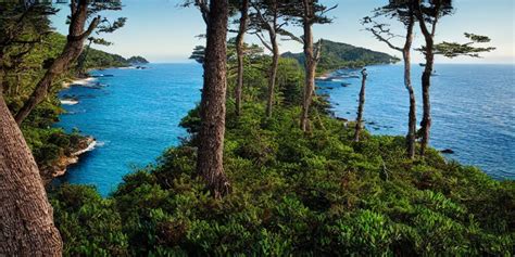 National Geographic Photograph Of A Forested Stable Diffusion Openart