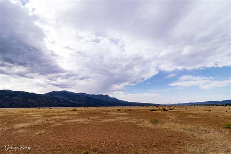 Gonzo Form - Cosmic Campground, New Mexico