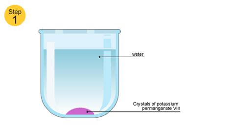 Bbc Standard Grade Bitesize Biology Cells And Diffusion Revision