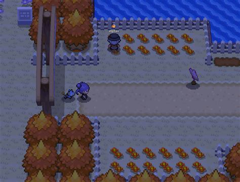 Wild Spiritomb On Route 205 Sinnoh Pokemmo