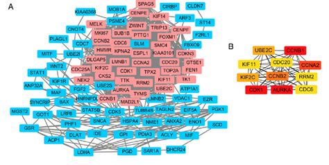 Figure From Identification Of Key Candidate Genes And Pathways In