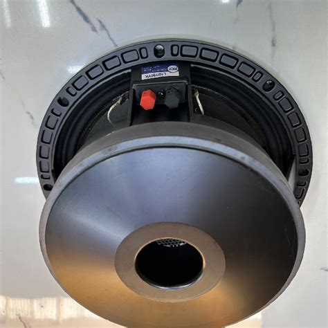 RCF 10 Inch Naked Speaker Best Price