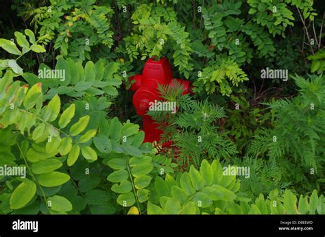 Fire Hydrant Covered In Plants Stock Photo Alamy