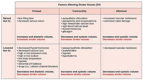 Vasoconstriction - The Definitive Guide | Biology Dictionary