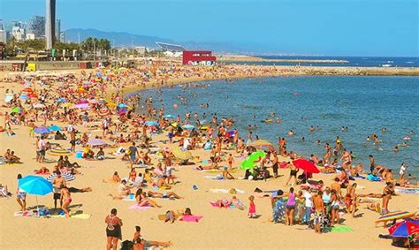 Nova Ic Ria Beach In Barcelona Practical Information