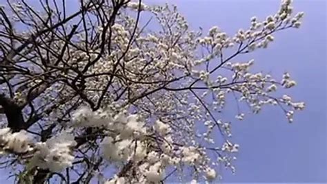 1980 Porn Videos XHamster