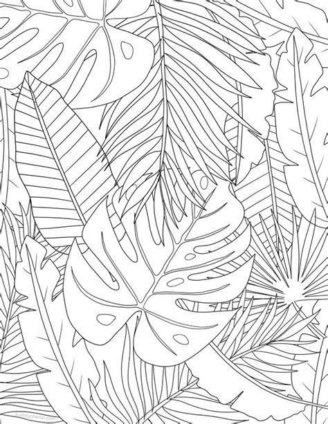 Tropical Leaves Coloring Page Audrey Chenal Line Art Drawings