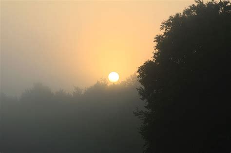 Foggy Sunrise Free Stock Photo - Public Domain Pictures