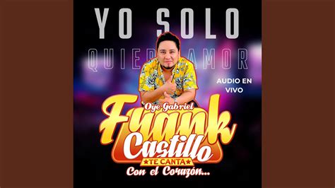 Yo Solo Quiero Amor En Vivo Youtube Music