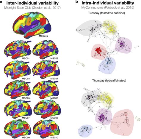 Inter- and intra-individual differences in functional connectivity from ...