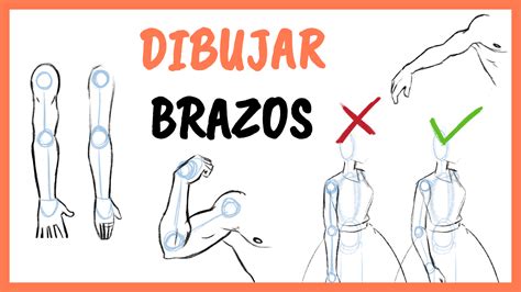 Como Dibujar Brazos Tutorial De Dibujo De Anatomia Nbkomputer