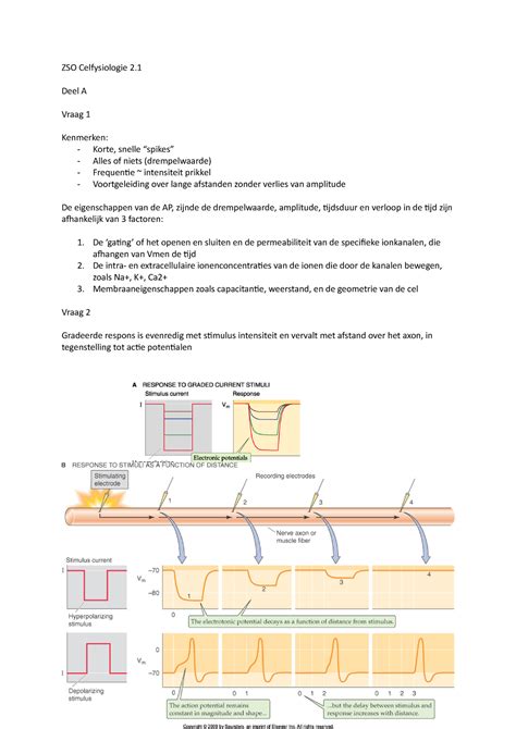 Celfysiologie Zso Zso Celfysiologie Deel A Vraag Kenmerken