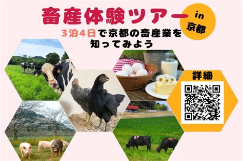 畜産体験ツアー～3泊4日で京都の畜産業を知ってみよう～① ｜移住関連イベント情報｜furusato