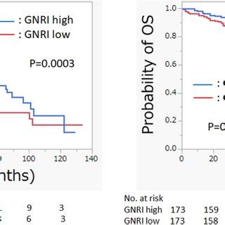 Kaplanmeier Curves Of Rfs And Os In The Low And High Gnri Groups