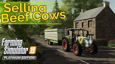 How To Sell Cows Fs19