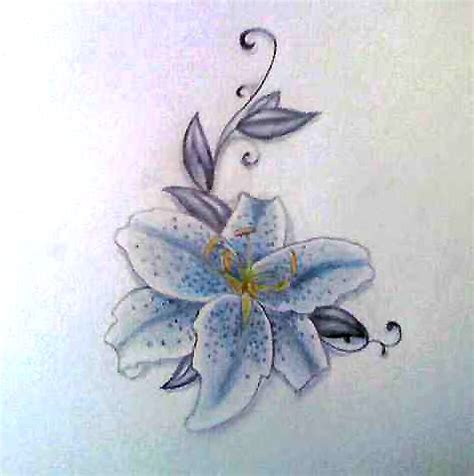 Stargazer Lily Tattoo Image Sketch