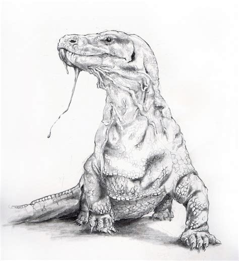 Komodo Dragon Art