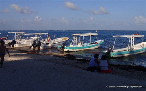 Snorkeling in Puerto Morelos, Mayan Riviera | Snorkeling in Mexico