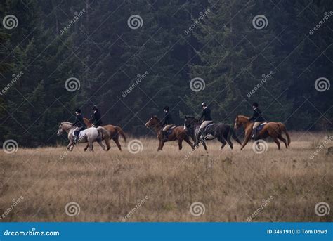 Show Horse Hunt Club stock photo. Image of hound, blood - 3491910