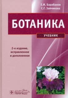 Книга: "Ботаника. Учебник" - Барабанов, Зайчикова. Купить книгу, читать ...