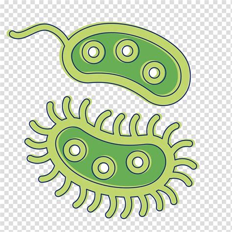 Free Clipart Of Bacteria