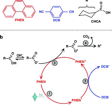 A Representative Photocatalytic Decarboxylation Reaction A Chemical