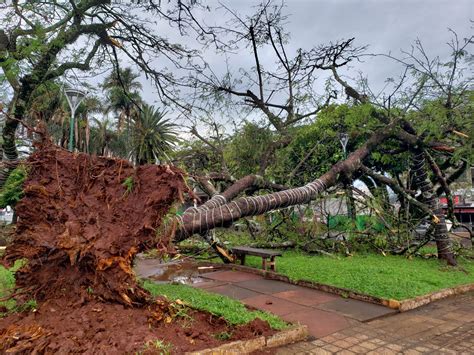 Em Ivaiporã os ventos fortes provocaram estragos e quedas de árvores