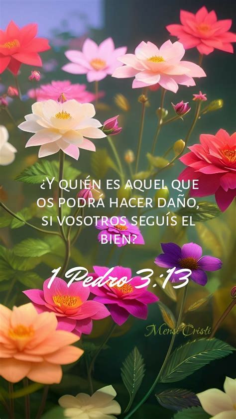 Mensi Cristi En Palabra De Dios Biblia Frases Bonitas De