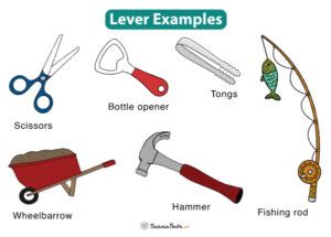 Lever: Definition, Parts, Types, and Examples