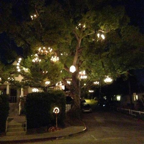 Chandelier Tree - Los Angeles, California