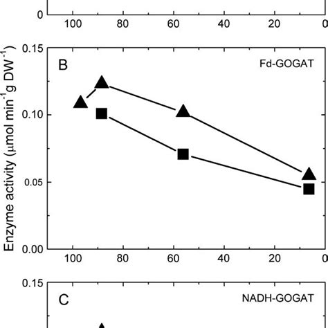 Gsgogat Cycle Enzyme Activity During Desiccation Stress In Yl Black