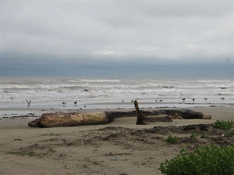 Free Images Beach Driftwood Sea Coast Sand Rock Ocean Horizon