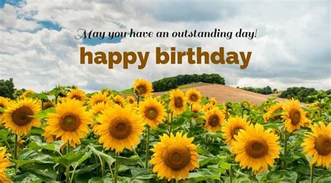 happy birthday wishes sunflowers - Cherrie Finney