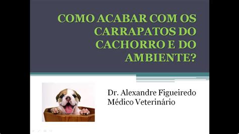 Como Acabar Os Carrapatos Do Cachorro E Do Ambiente Parte